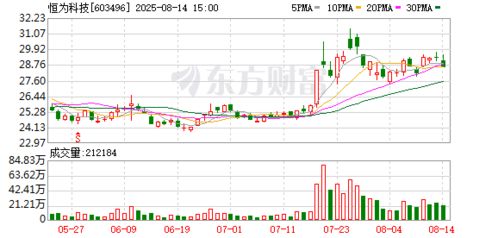 恒为科技布局新赛道，投资成立数字技术服务公司