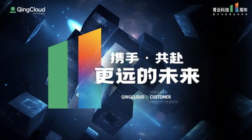 深耕数字中国建设，青云科技十一载征程再启新篇